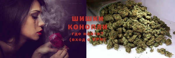 стаф Богородск