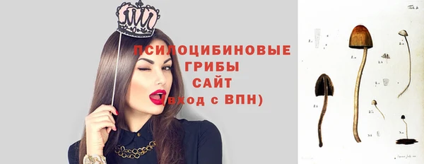 стаф Богородск