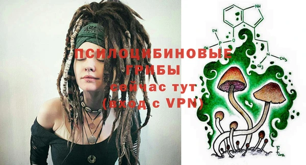 дурь Балахна