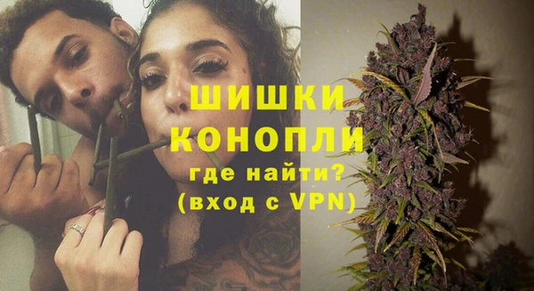 эйфоретик Арсеньев