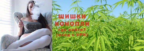 индика Армянск