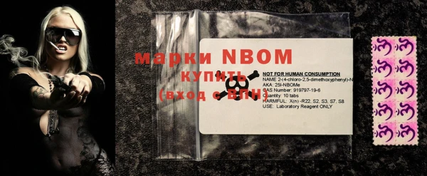 крисы Березники