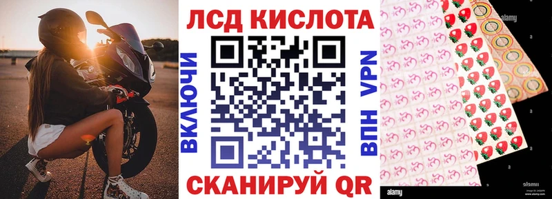 Марки N-bome 1500мкг  наркошоп  Кировск 